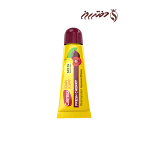 بالم لب کارمکس| Carmex daily moisturizing lip balm