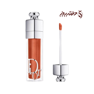 لیپ گلاس حجم‌دهنده‌ مدل مکس میزردیور 062 |062 – DIORaddict lip maximizer Silver